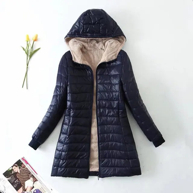 Winter Korean Style Cotton Coat for Women