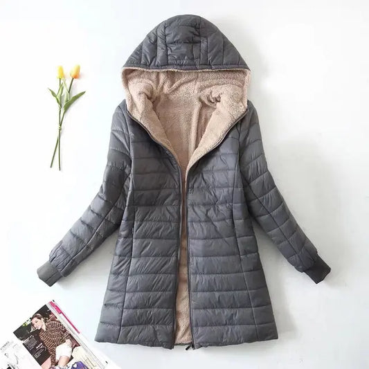Winter Korean Style Cotton Coat for Women
