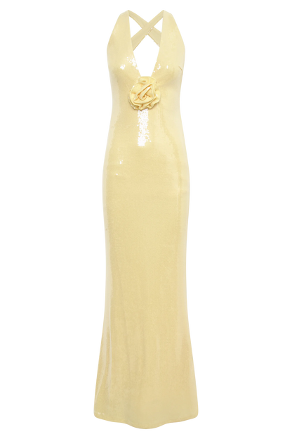 Eliza Rose Sequin Maxi Dress